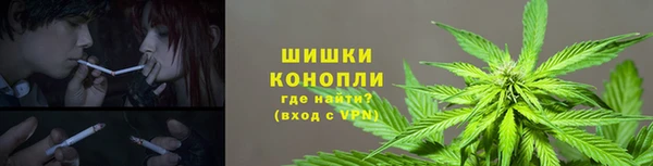 ешки Вязьма