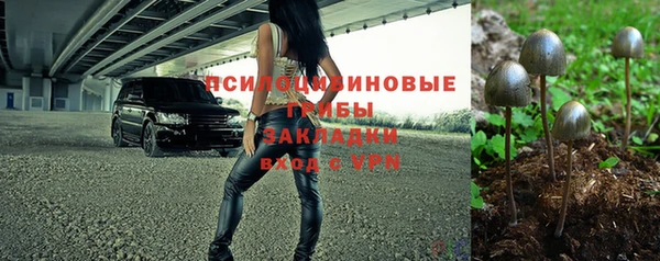ешки Вязьма
