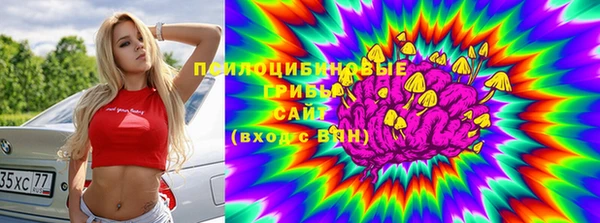 дурь Вяземский