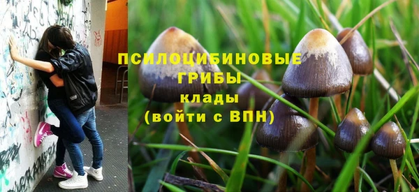 дурь Вяземский