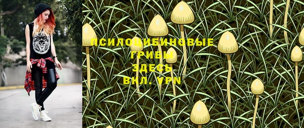 ешки Вязьма